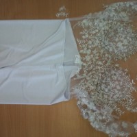 IMG00532_20130829_1448.jpg